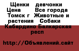 Щенки - девчонки › Цена ­ 2 - Все города, Томск г. Животные и растения » Собаки   . Кабардино-Балкарская респ.